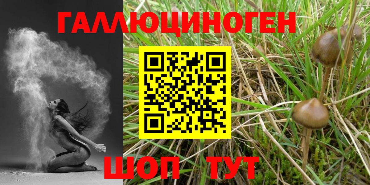 Псилоцибиновые грибы MAGIC MUSHROOMS Алексеевка