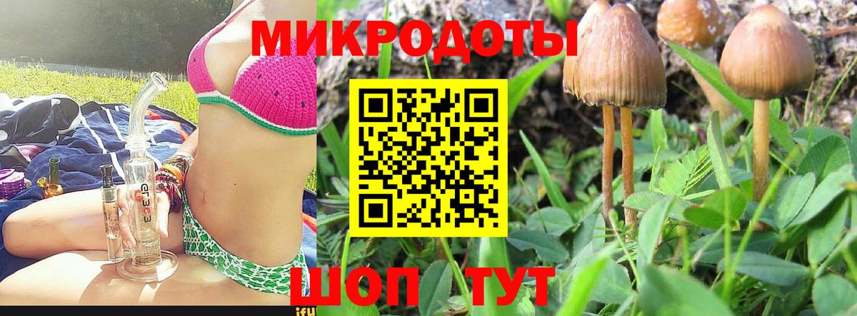 Алексеевка  где можно купить наркотик  Вход с VPN  Псилоцибиновые грибы Cubensis  Галлюциногенные грибы Cubensis 